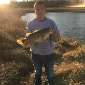 Meet your Posher, Wyatt